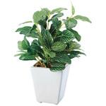 ミニグリーンポット(フェイクグリーン) ストア・エキスプレス