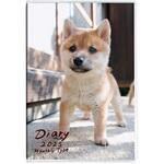 ノートタイプダイアリー ナカバヤシ