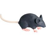 MIT201 マウス型実験動物シミュレーター”Mimicky Mouse” 三高サプライ