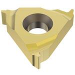 内径 旋削 TR ねじ切り用インサート(NL) セコ・ツールズ・ジャパン