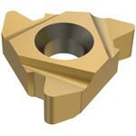 22ER4API386 旋削 ねじ切り用インサート22ER4API386 セコ・ツールズ・ジャパン