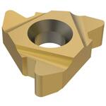 22ER4API386 旋削 ねじ切り用インサート 22ER4API386 セコ・ツールズ・ジャパン