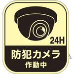 イラストステッカー標識 蓄光タイプ 防犯カメラ作動中 日本緑十字社