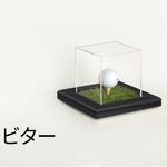 ゴルフボールケース アルナ