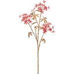 綺羅の花枝 MAGIQ(東京堂)