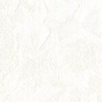 一般壁紙 VWALL 通気性 リリカラ