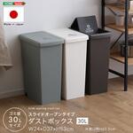 スライドオープンタイプ ゴミ箱30L ホームテイスト
