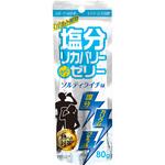 塩分リカバリー スティックゼリー ソルティライチ味 ドウシシャ