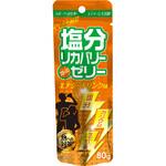 塩分リカバリースティックゼリー エナジードリンク味 ドウシシャ