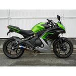 LS4420JM フルEX ラウンド・焼色チタンサイレンサー 14-17 Ninja400 WR’S(ダブルアールズ)
