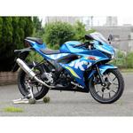 LA3125JM フルEX ラウンド・ステンレスサイレンサー 18-21 GSX-R125 WR’S(ダブルアールズ)