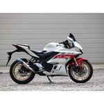 FV2310JM S/O S.O.Vショートチタンオーバル焼色 22・23- YZF-R3 WR’S(ダブルアールズ)
