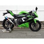 BK4260JM S/O ラウンド・焼き色チタンサイレンサー 15- Ninja250SL WR’S(ダブルアールズ)