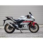 BF2310JM S/O ラウンド・ステンレスサイレンサー 22・23- YZF-R3 WR’S(ダブルアールズ)