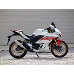 NV2310JM S/O S.O.Vショートチタンオーバルソリッド 22・23- YZF-R3 WR’S(ダブルアールズ)