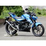 SC3130JM フルEX ラウンド・カーボンサイレンサー 18-21 GSX-S125 WR’S(ダブルアールズ)
