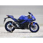 FV2255JM S/O S.O.Vショートチタンオーバル焼色 15-21 YZF-R25 WR’S(ダブルアールズ)