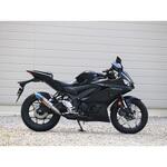 FV2270JM S/O S.O.Vショートチタンオーバル焼き色 22- YZF-R25 WR’S(ダブルアールズ)