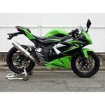 BF4260JM S/O ラウンド・ステンレスサイレンサー 15- Ninja250SL/ABS WR’S(ダブルアールズ)