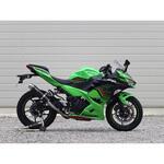 BC4430JM S/O ラウンド・カーボンサイレンサー 18- 22・23-Ninja400 WR’S(ダブルアールズ)