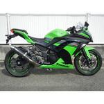 BC4250JM S/O ラウンド・カーボンサイレンサー 13-17 Ninja250・ABS WR’S(ダブルアールズ)