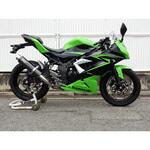 BC4260JM S/O ラウンド・カーボンサイレンサー 15- Ninja250SL/ABS WR’S(ダブルアールズ)