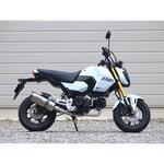 LK1180JM フルEX SS-OVAL ソリッドチタンタイプ 21- GROM WR’S(ダブルアールズ)