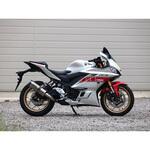 SK2310JM S/O SS-OVAL ソリッドタイプ 22・23- YZF-R3 WR’S(ダブルアールズ)