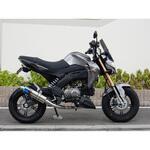 LS4110JM フルEX ショートオーバル 焼き色タイプ 16- Z125 PRO WR’S(ダブルアールズ)