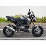 LT4110JM フルEX ショートオーバル ソリッドタイプ 16- Z125 PRO WR’S(ダブルアールズ)