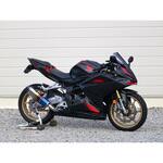 FB1240JM フルEX SHORT_LINE 焼色タイプ 20-22 CBR250RR WR’S(ダブルアールズ)