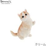 べニーズキャット マンチカン 紅石