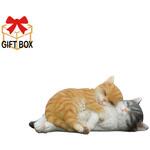 QB-018 べニーズキャットミニ おひるね 紅石