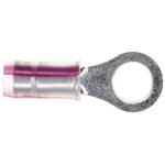 53409-1 TE Connectivity リングターミナル， 内径：5mm， スタッド径：#10， ナチュラル 53409-1 TE Connectivity Japan(旧:TYCOELECTRONICS(タイコエレクトロニクス))