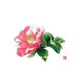 テーブルマット  つばき  尺3 カミイソ産商