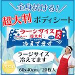 超大判クールタオル カネイシ