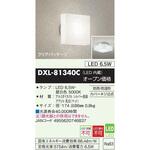 防雨・防湿型 外玄関・浴室灯 DAIKO(大光電機)