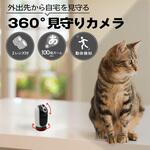 SEC-WTF-2L360D <2 レンズ搭載 100 倍ズーム>パンチルト360度動体追跡 WIFI カメラ ブロードウォッチ