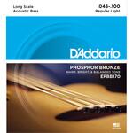 ベース弦 D'Addario