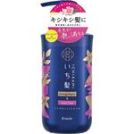 いち髪 ダメージリペア&カラーケア コンディショナー クラシエホームプロダクツ販売