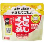 袋めし 無洗米 250g×30袋 真空パック 日本産米 ヨコチュー