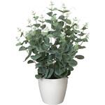 385A50 ユ-カリ アートクリエーション