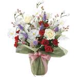 2062K90 スプレンドロ-ズ アートクリエーション