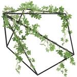 2001A150 壁面緑化シュガ-バイン アートクリエーション