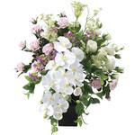 2049A250 グランドファレノ アートクリエーション