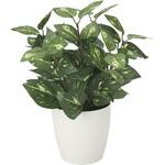 2103K35 ポトスM アートクリエーション