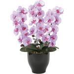 21K120 胡蝶蘭セリ-スL アートクリエーション