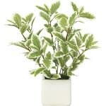 935K28 ミニリ-フG/W アートクリエーション