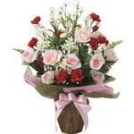 2067K70 トリ-トピンク アートクリエーション