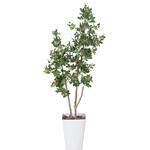 366C220 ハックルベリ-1．25 アートクリエーション